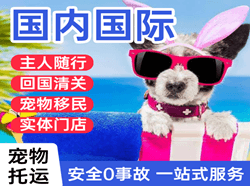 兴凯湖航空快运国际宠物托运 【国